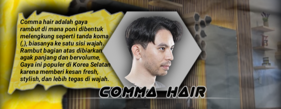 COMMA HAIR