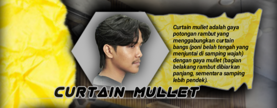 CURTAIN MULLET
